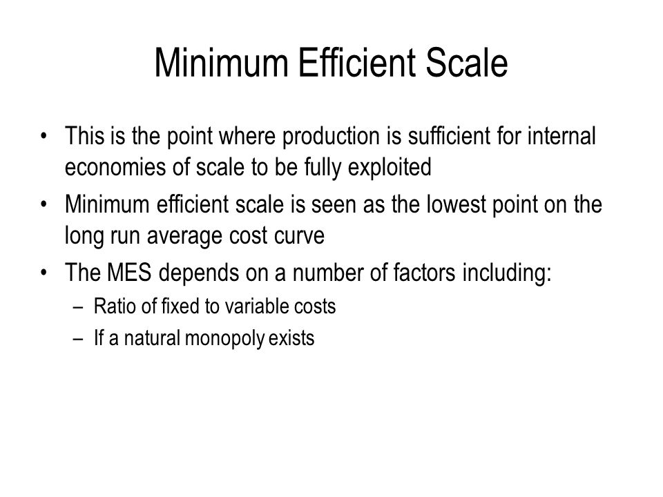minimum efficient scale